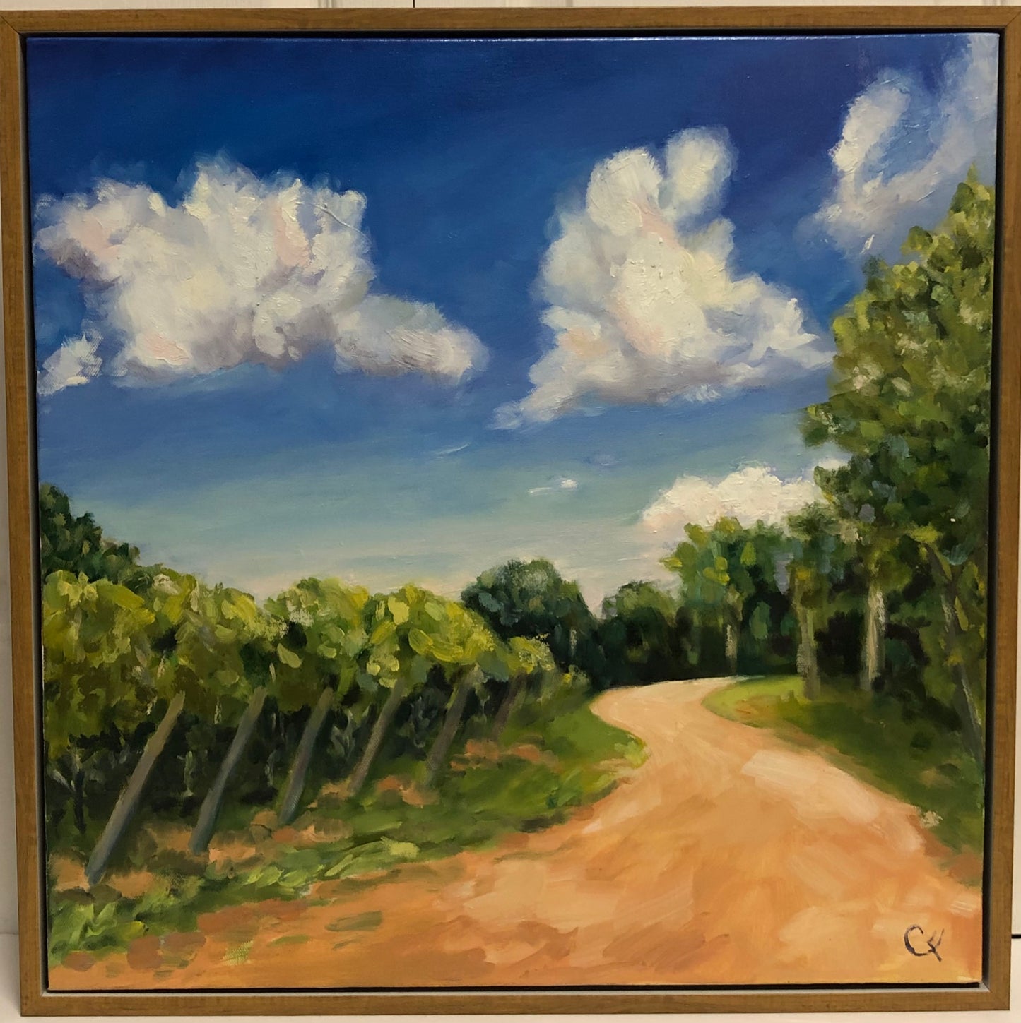 Vines on the Dusty Road