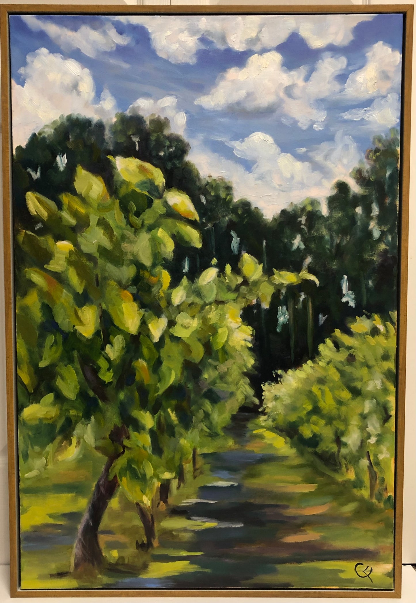 Shadows Between the Vines