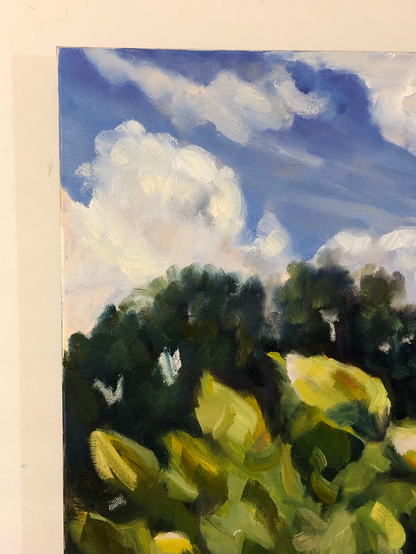 Shadows Between the Vines