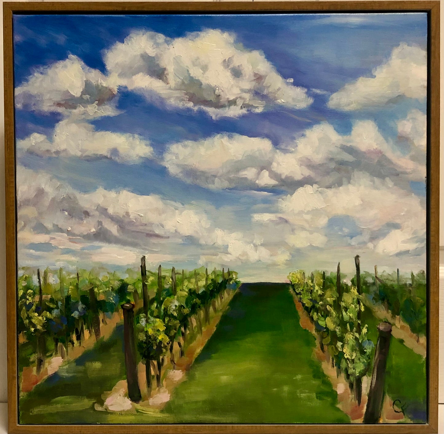 Vine Rows