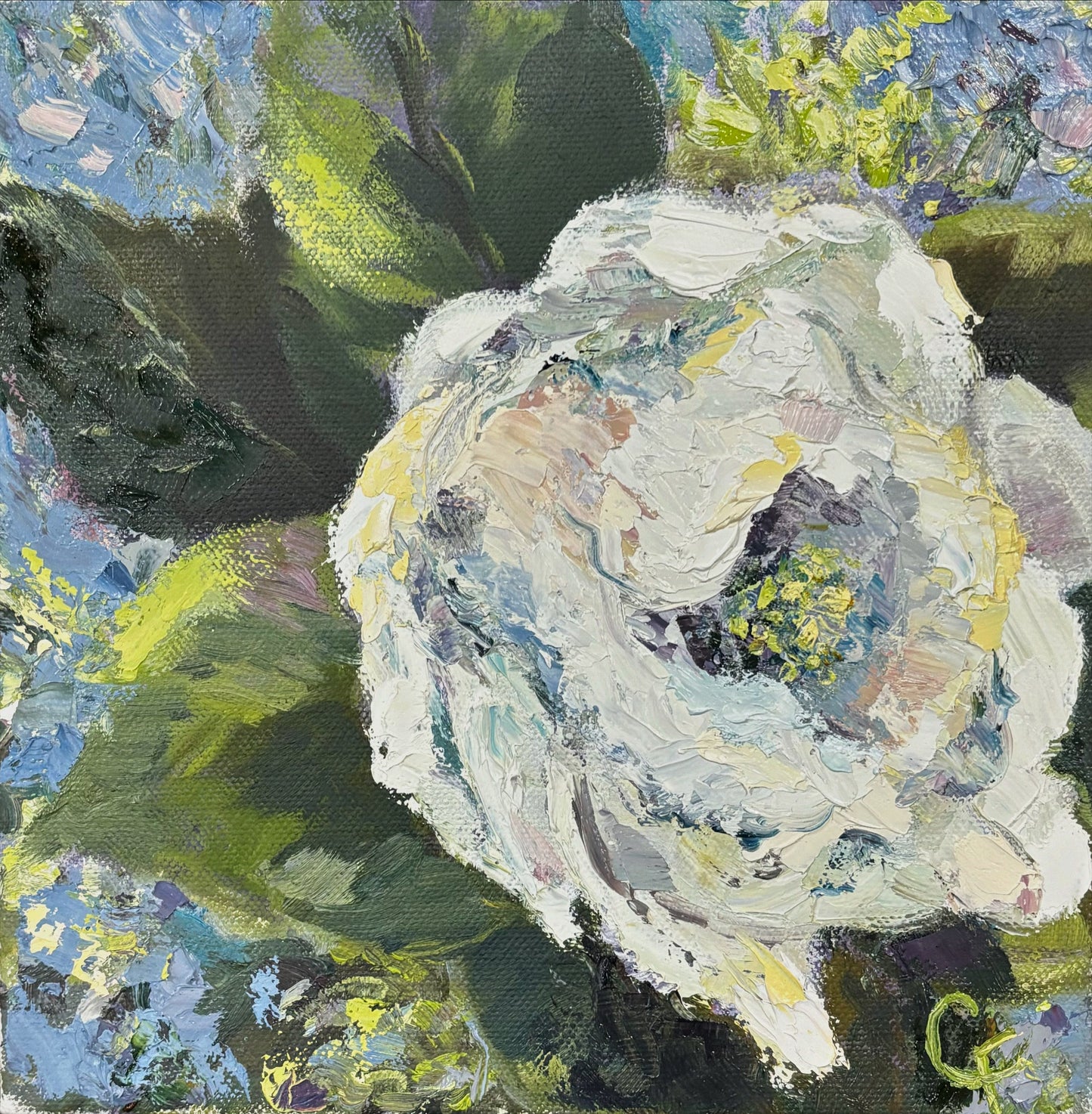 Magnolia Opening