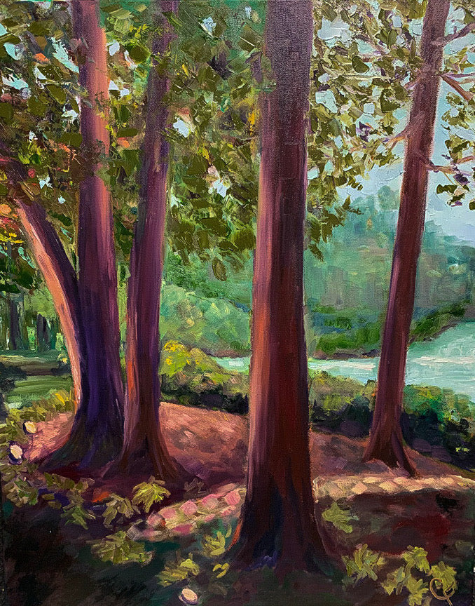 Spotlight on the Trees at the Chattahooche