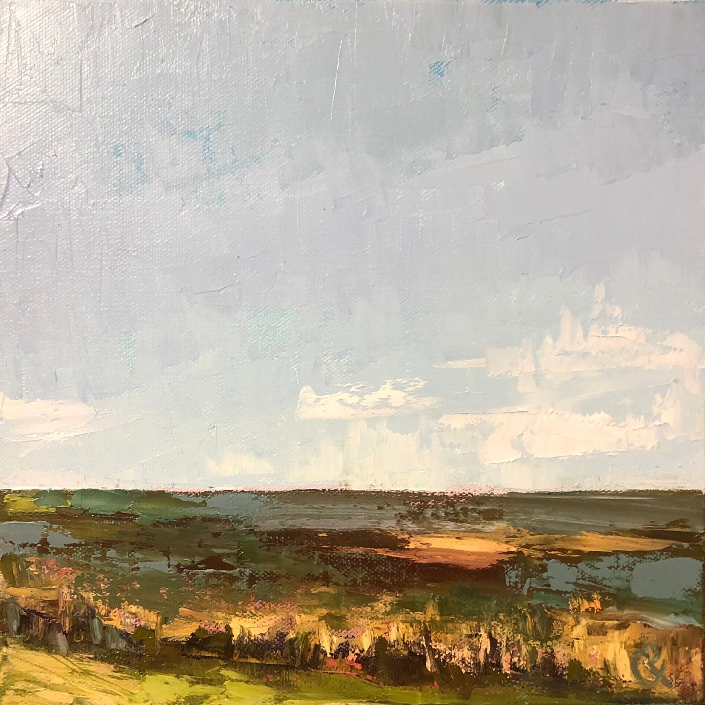 Savannah Marsh