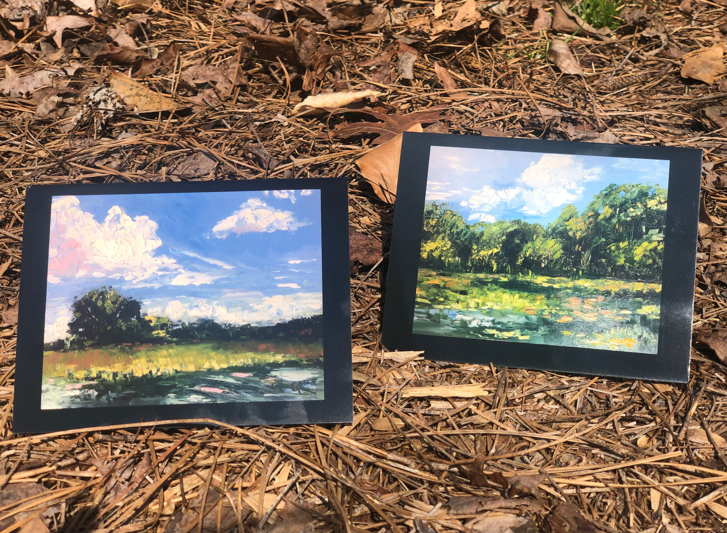 Lake Day Notecards