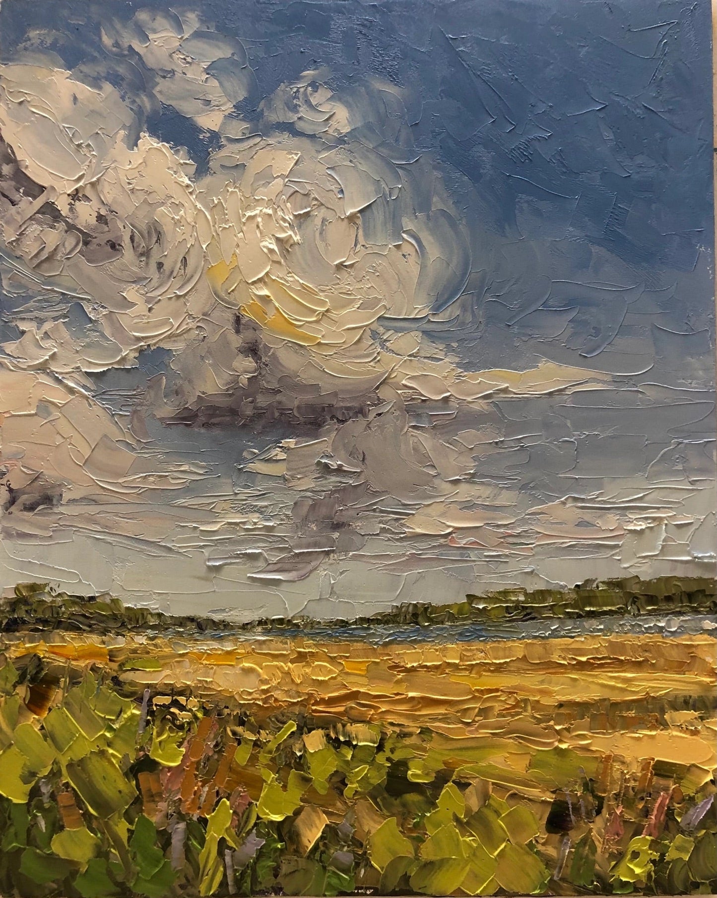 Homecoming - Southern Scapes