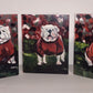 Glory Dawgs Note Cards