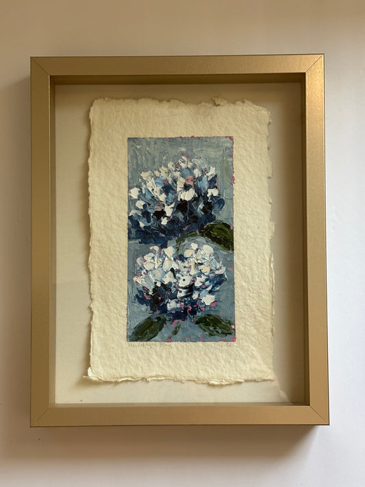 Hydrangea Play