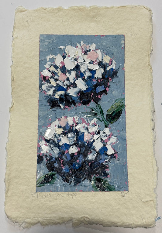 Hydrangea Hope