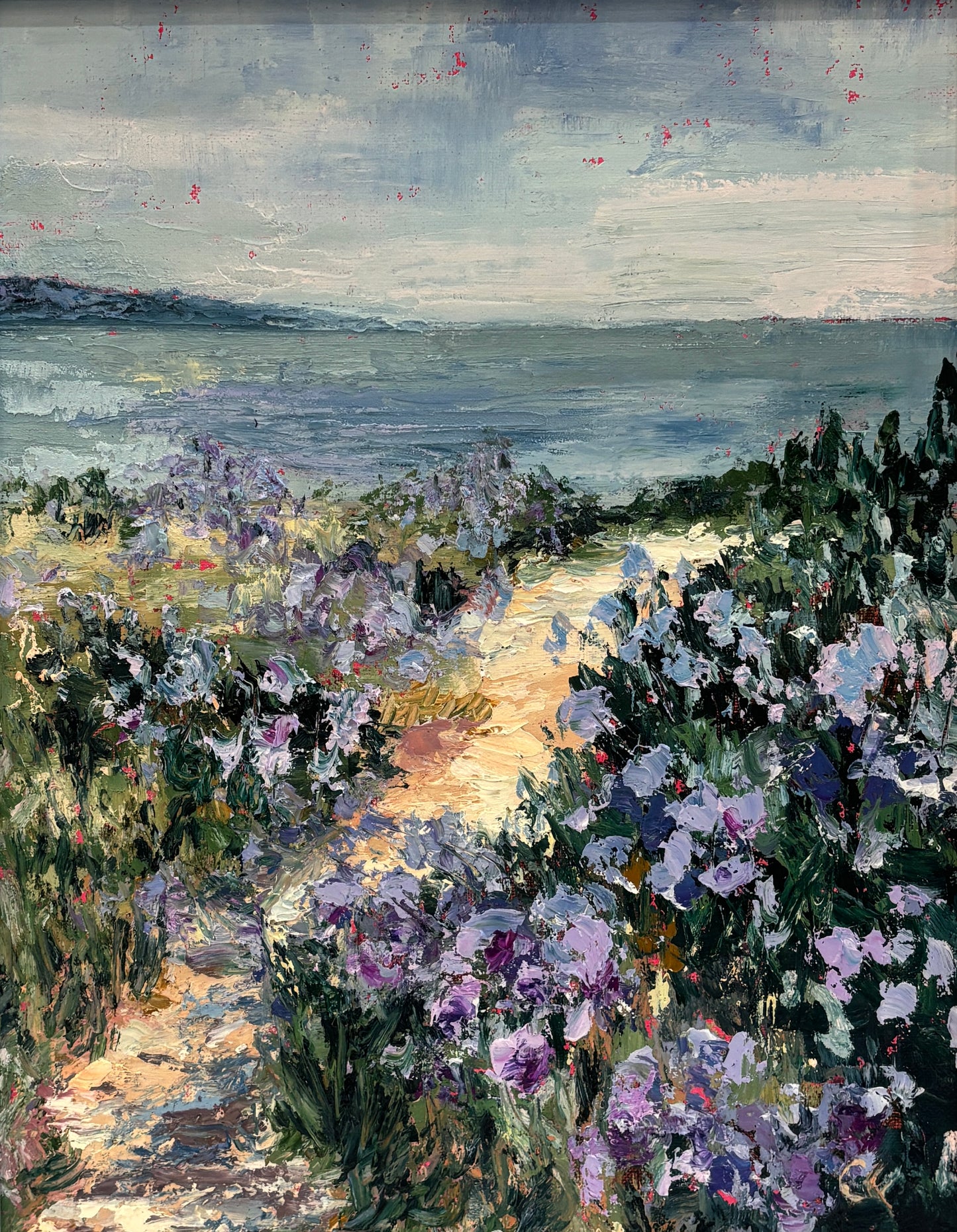 Pathway of Purple in Pismo
