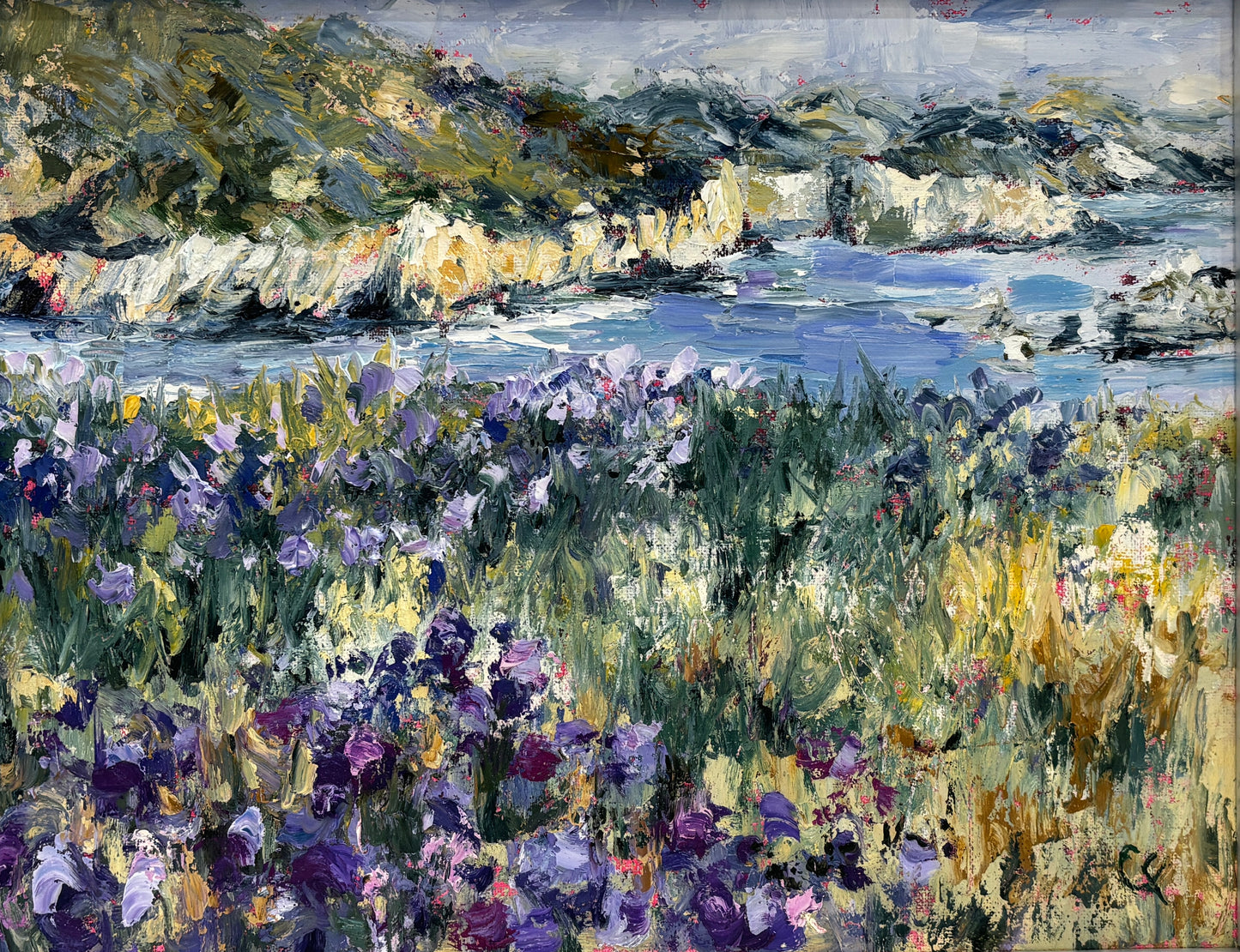 Purple in Pismo